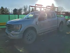 1FTEW1E87PFB96339 2023 FORD F-150