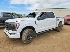 1FTEW1E87PFC67328 2023 FORD F-150