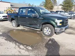 1FTEW1E8XGFD07420 2016 FORD F-150