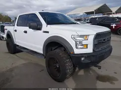 1FTEW1E8XHFB42387 2017 FORD F-150