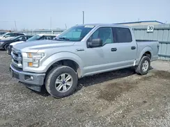 1FTEW1E8XHFB44124 2017 FORD F-150
