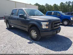 1FTEW1E8XHKD49689 2017 FORD F-150