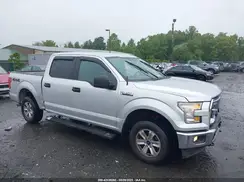 1FTEW1E8XHKE53051 2017 FORD F-150