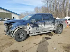 1FTEW1E8XPFA29411 2023 FORD F-150