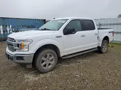 1FTEW1EB0KKD98290 2019 FORD F-150