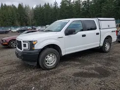1FTEW1EB1LKF20883 2020 FORD F-150