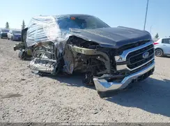 1FTEW1EB1PKD65984 2023 FORD F-150