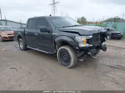 1FTEW1EB2LKF43119 2020 FORD F-150