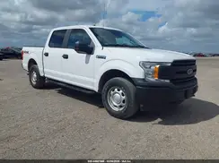1FTEW1EB3KKC24827 2019 FORD F-150