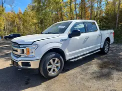1FTEW1EB3LFA43334 2020 FORD F-150