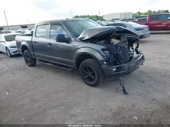 1FTEW1EB4KFB44784 2019 FORD F-150