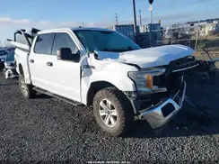 1FTEW1EB6JKE19027 2018 FORD F-150