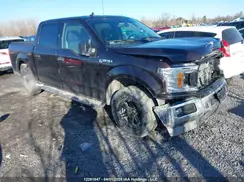 1FTEW1EB6KKF20649 2019 FORD F-150