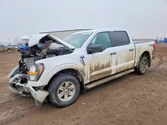 1FTEW1EB6PKD76981 2023 FORD F-150