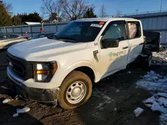 1FTEW1EB6PKF99117 2023 FORD F-150