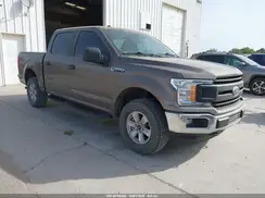1FTEW1EB8KKD99509 2019 FORD F-150