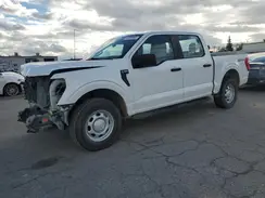 1FTEW1EB9MFB96382 2021 FORD F-150