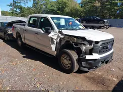 1FTEW1EB9MKE46257 2021 FORD F-150