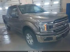 1FTEW1EBXKKD65569 2019 FORD F-150