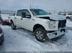 1FTEW1EF0GFB13171 2016 FORD F-150