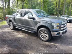 1FTEW1EF0GFB94737 2016 FORD F-150