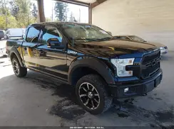 1FTEW1EF0GFC75513 2016 FORD F-150