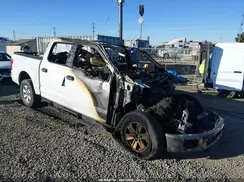 1FTEW1EF0GKF28613 2016 FORD F-150
