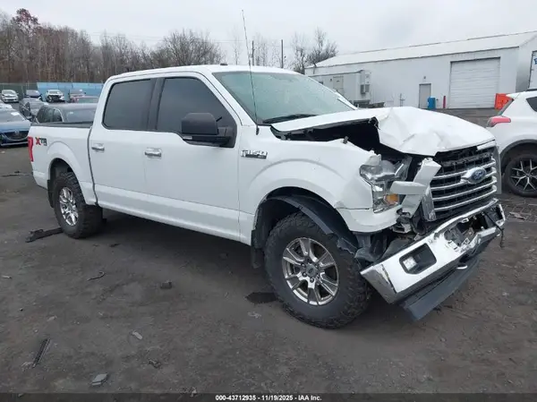 1FTEW1EF0HFA54981 2017 FORD F-150 - Image 1