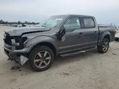 1FTEW1EF0HFA79539 2017 FORD F-150