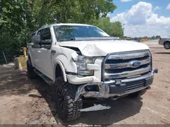 1FTEW1EF0HFA84613 2017 FORD F-150