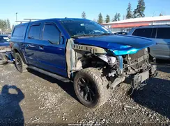 1FTEW1EF0HFC07312 2017 FORD F-150