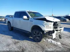 1FTEW1EF1GFB58507 2016 FORD F-150