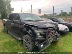 1FTEW1EF1GFB79955 2016 FORD F-150