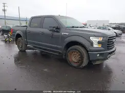 1FTEW1EF1GFD43897 2016 FORD F-150
