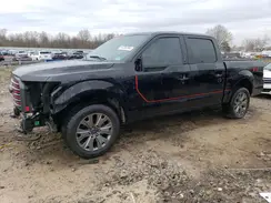 1FTEW1EF1HFA01402 2017 FORD F-150