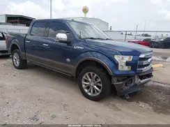 1FTEW1EF1HFA09757 2017 FORD F-150