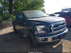 1FTEW1EF1HFA59011 2017 FORD F-150