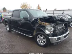 1FTEW1EF2GFA18899 2016 FORD F-150