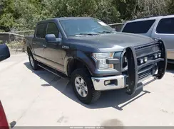 1FTEW1EF2GKE06061 2016 FORD F-150