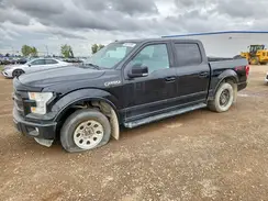 1FTEW1EF2GKF35949 2016 FORD F-150