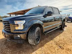 1FTEW1EF2HFB73485 2017 FORD F-150