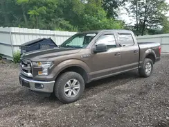 1FTEW1EF3GFA16496 2016 FORD F-150
