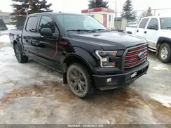 1FTEW1EF3GFB05310 2016 FORD F-150