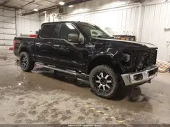 1FTEW1EF3GFB39117 2016 FORD F-150
