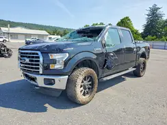 1FTEW1EF3GFB60274 2016 FORD F-150