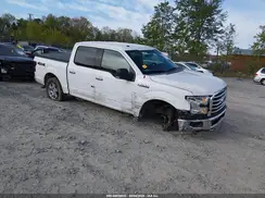 1FTEW1EF3GFD39012 2016 FORD F-150