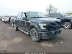 1FTEW1EF3GFD46364 2016 FORD F-150