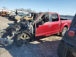 1FTEW1EF4GFA43237 2016 FORD F-150