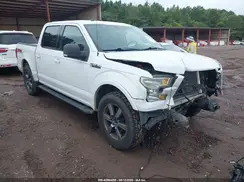 1FTEW1EF4GFA96858 2016 FORD F-150