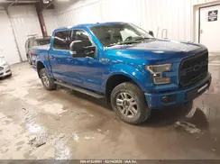 1FTEW1EF4GFB15022 2016 FORD F-150